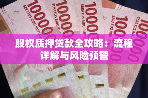 北京股权质押贷款全攻略：流程详解与风险预警