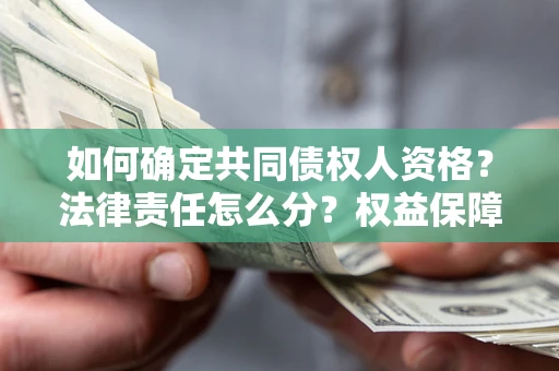 北京如何确定共同债权人资格？法律责任怎么分？权益保障技巧揭秘！
