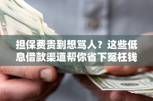 北京担保费贵到想骂人？这些低息借款渠道帮你省下冤枉钱