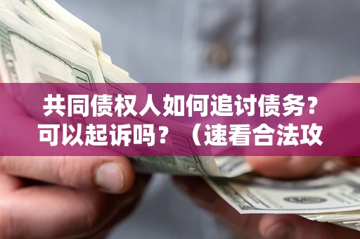 北京共同债权人如何追讨债务？可以起诉吗？（速看合法攻略）